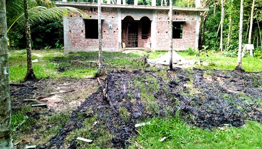 image-here